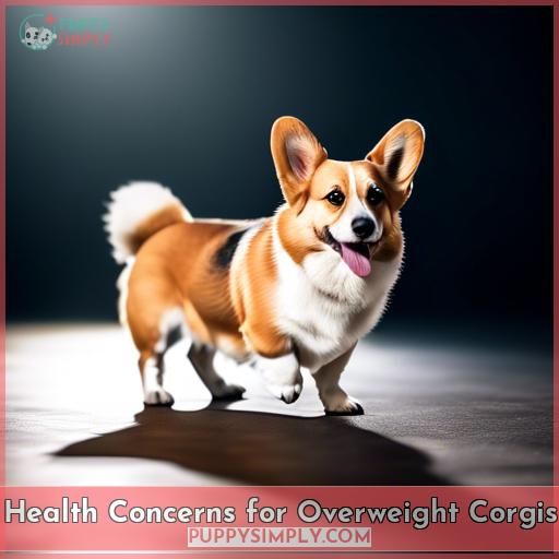 Health Concerns for Overweight Corgis