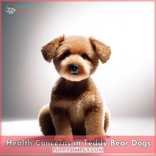 Health Concerns in Teddy Bear Dogs