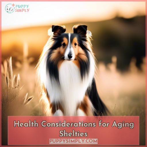 Health Considerations for Aging Shelties