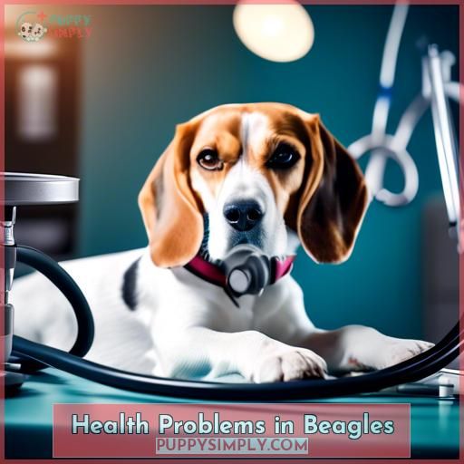Health Problems in Beagles