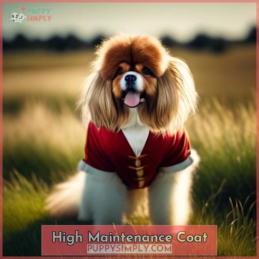 High Maintenance Coat