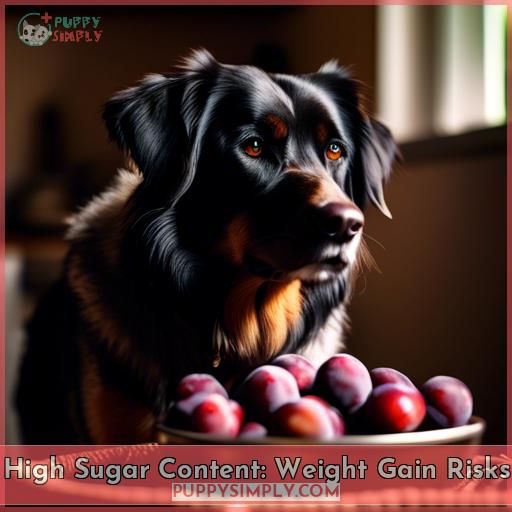 High Sugar Content: Weight Gain Risks