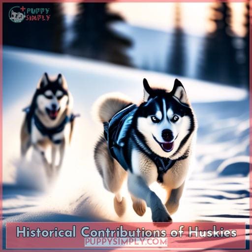 Historical Contributions of Huskies