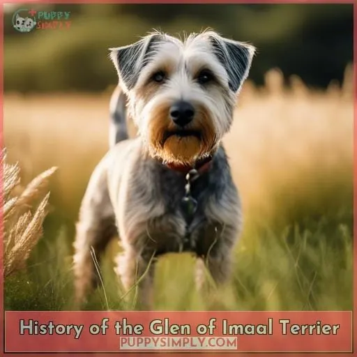 History of the Glen of Imaal Terrier