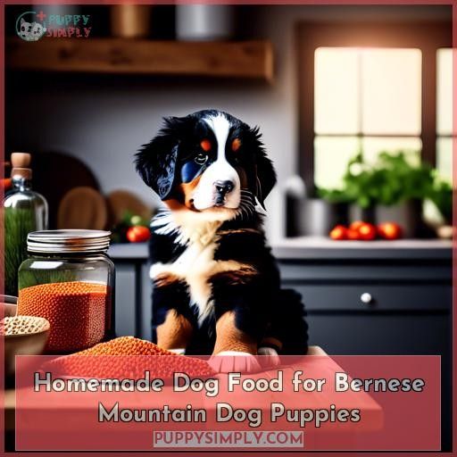 Homemade Dog Food for Bernese Mountain Dog Puppies