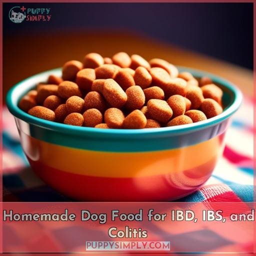 Homemade Dog Food for IBD, IBS, and Colitis