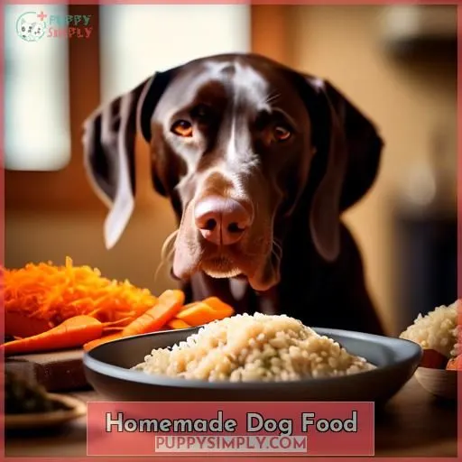 Homemade Dog Food