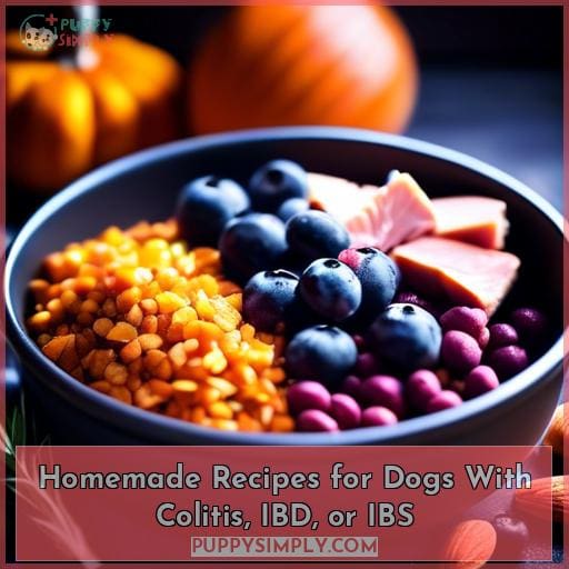 Homemade Recipes for Dogs With Colitis, IBD, or IBS