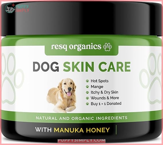 Hot Spot Treatment for Dogs,