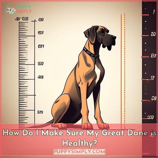 How Do I Make Sure My Great Dane is Healthy