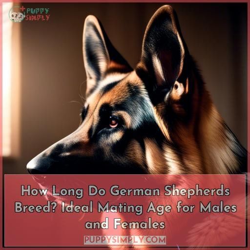how long do german shepherds reproduce how long do german shepherds reproduce