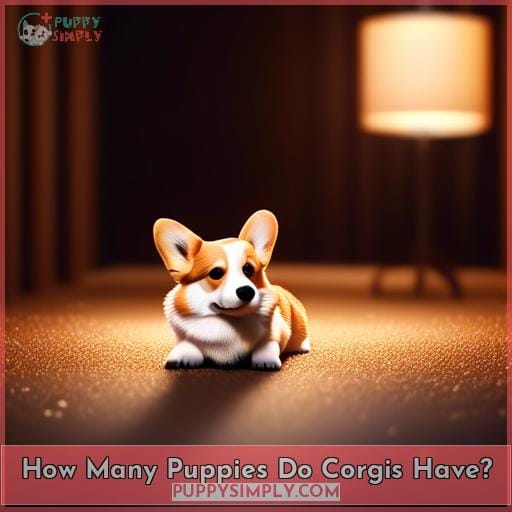 How Many Puppies Do Corgis Have