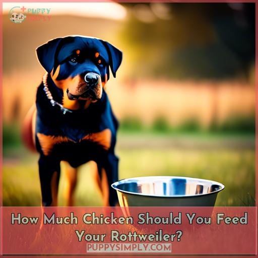 How Much Chicken Should You Feed Your Rottweiler