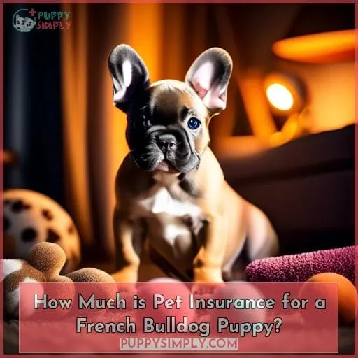 How Much is Pet Insurance for a French Bulldog Puppy