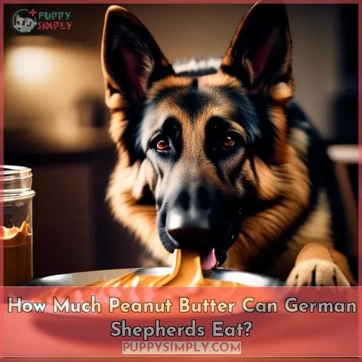 How Much Peanut Butter Can German Shepherds Eat