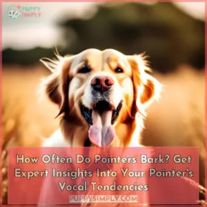 how often do pointers bark