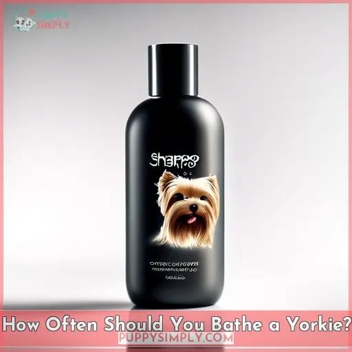 How Often Should You Bathe a Yorkie