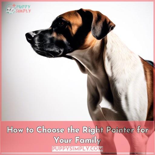 How to Choose the Right Pointer for Your Family
