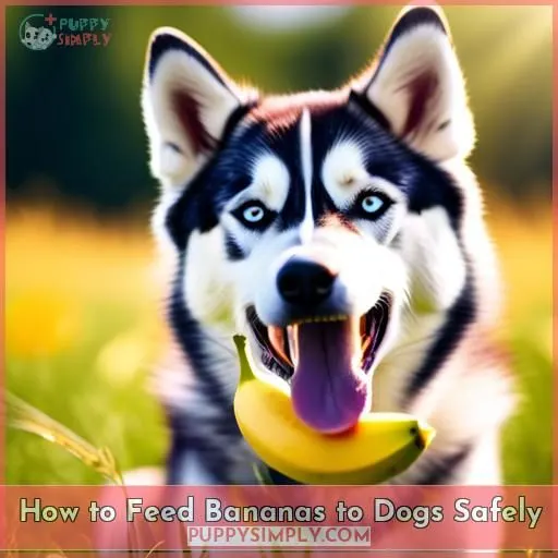 How to Feed Bananas to Dogs Safely