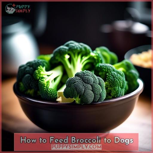 How to Feed Broccoli to Dogs