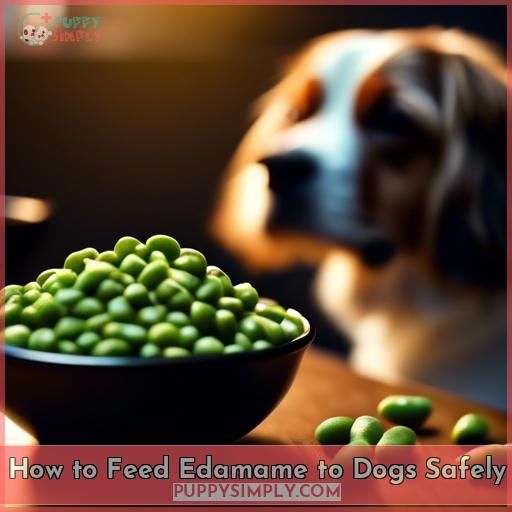 How to Feed Edamame to Dogs Safely