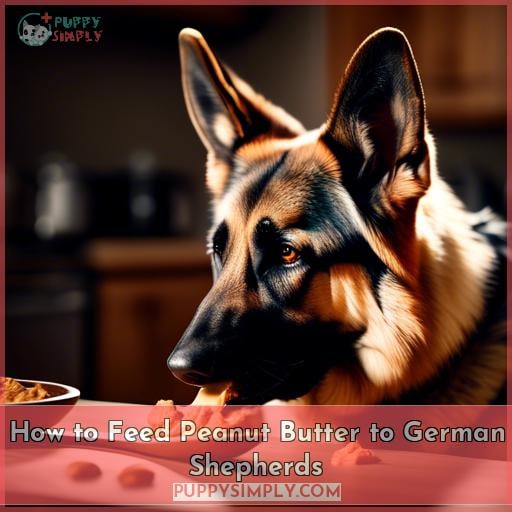 How to Feed Peanut Butter to German Shepherds