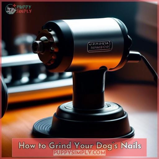 How to Grind Your Dog’s Nails