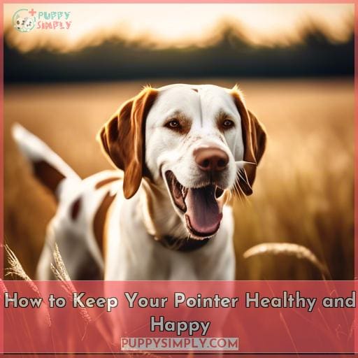 How to Keep Your Pointer Healthy and Happy
