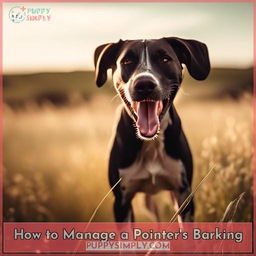 How to Manage a Pointer