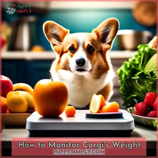 How to Monitor Corgi's Weight