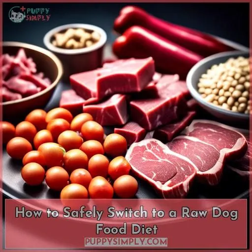 How to Safely Switch to a Raw Dog Food Diet