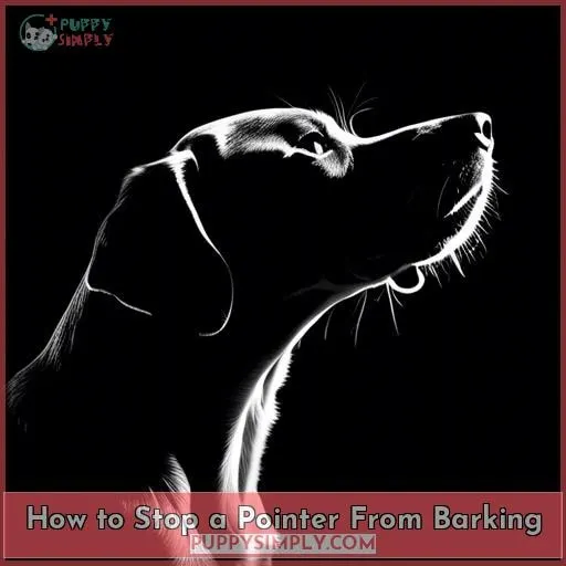 How to Stop a Pointer From Barking