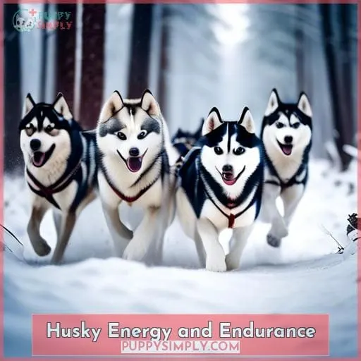 Husky Energy and Endurance