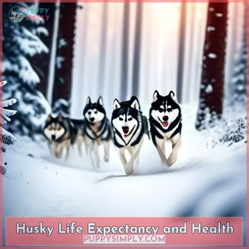 Husky Life Expectancy and Health