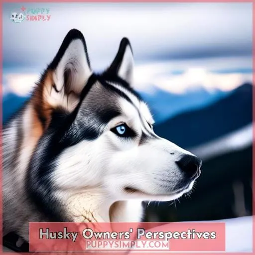 Husky Owners