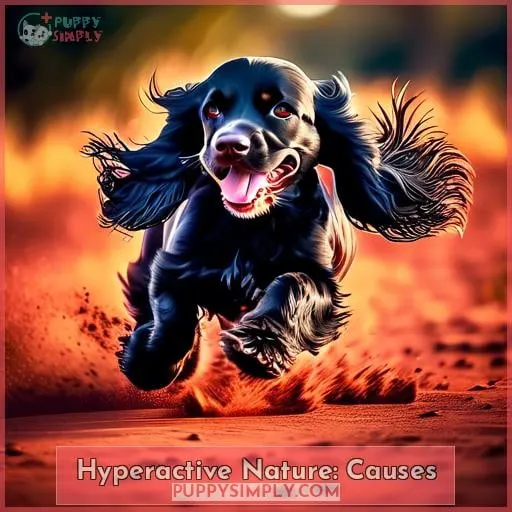 Hyperactive Nature: Causes