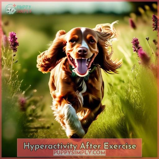 Hyperactivity After Exercise