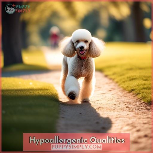 Hypoallergenic Qualities