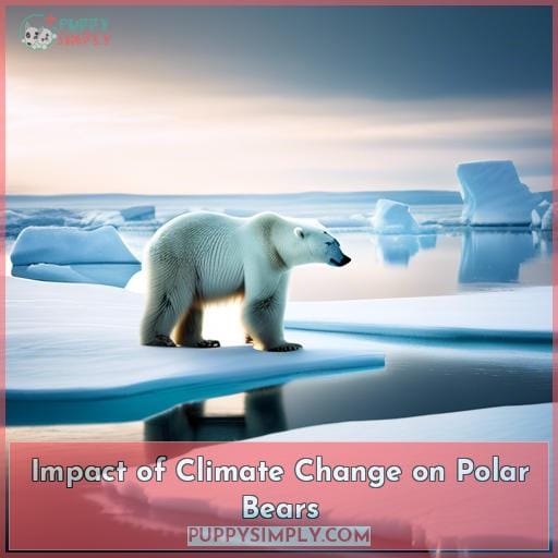 Impact of Climate Change on Polar Bears
