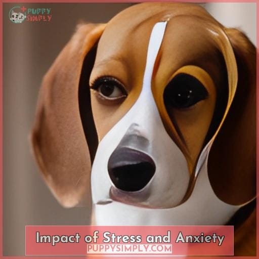 Impact of Stress and Anxiety