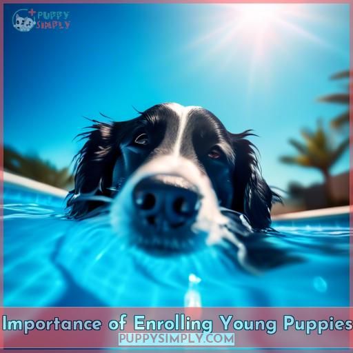 Importance of Enrolling Young Puppies