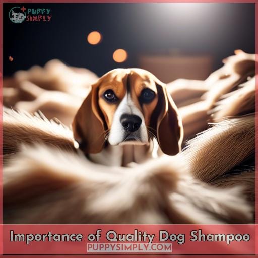 Importance of Quality Dog Shampoo