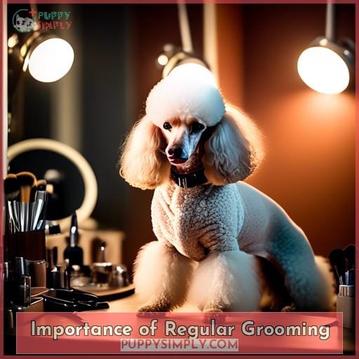 Importance of Regular Grooming