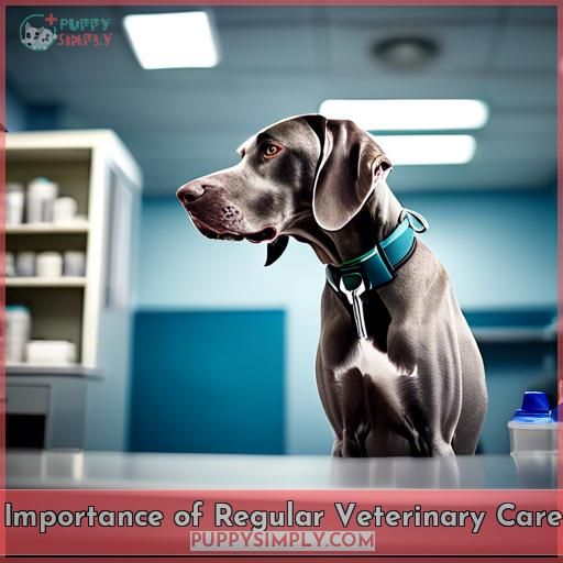 Importance of Regular Veterinary Care