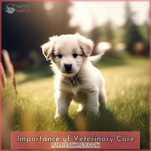 Importance of Veterinary Care