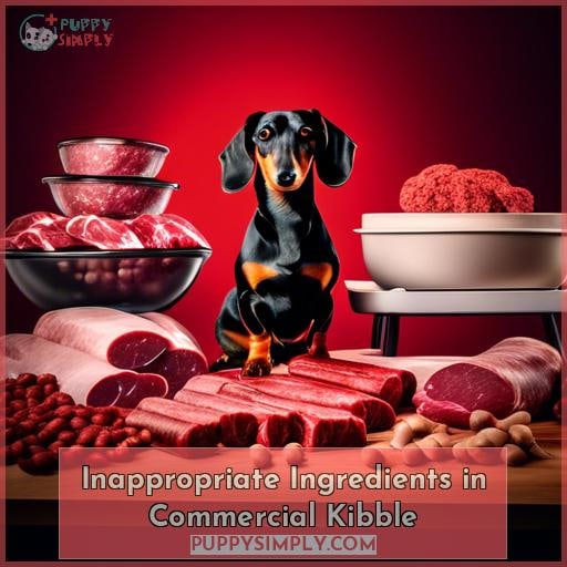 Inappropriate Ingredients in Commercial Kibble
