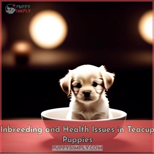 Inbreeding and Health Issues in Teacup Puppies