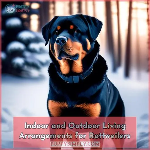 Indoor and Outdoor Living Arrangements for Rottweilers
