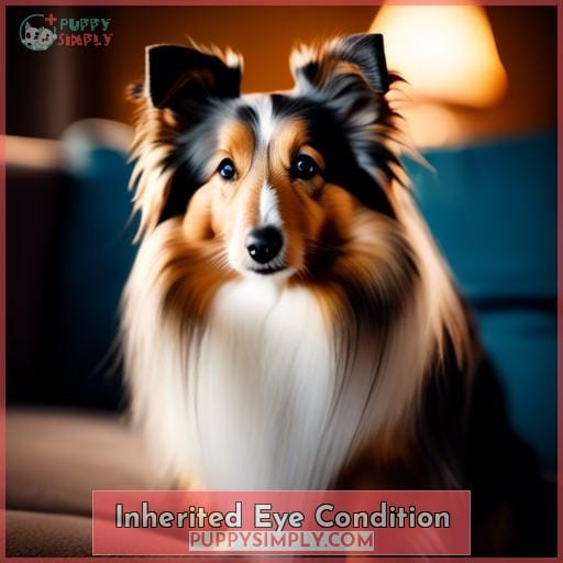 Inherited Eye Condition