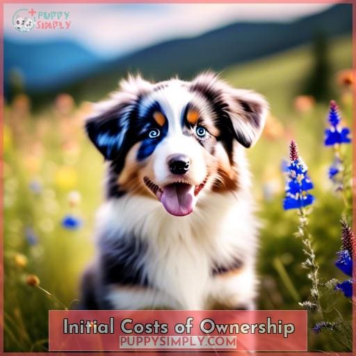 Initial Costs of Ownership Initial Costs of Ownership